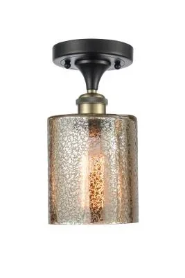 One Light Semi-Flush Mount9301962