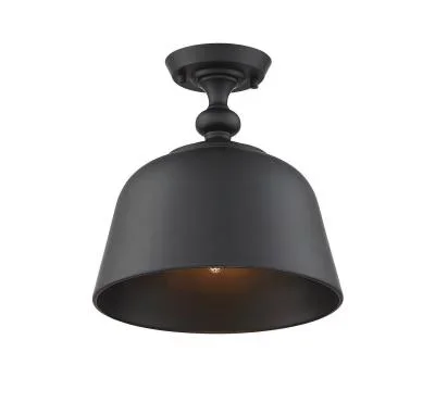 One Light Semi-Flush Mount9393033
