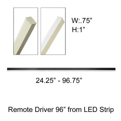 Remote Driver4619321