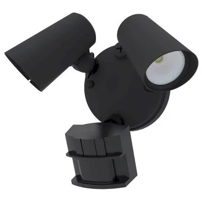 Security Light4476370