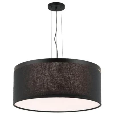 Six Light Pendant4957028