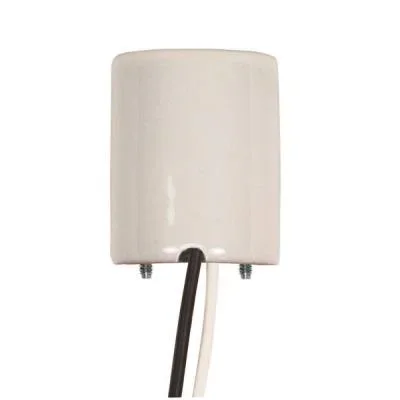 Socket2431054