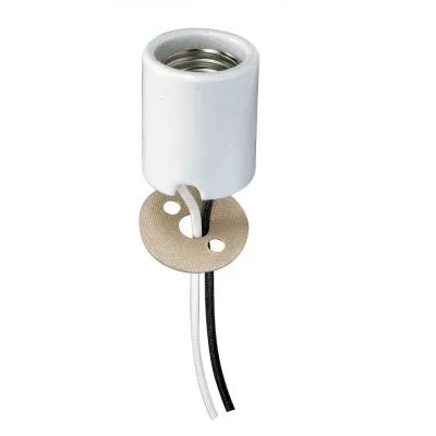Socket2431923