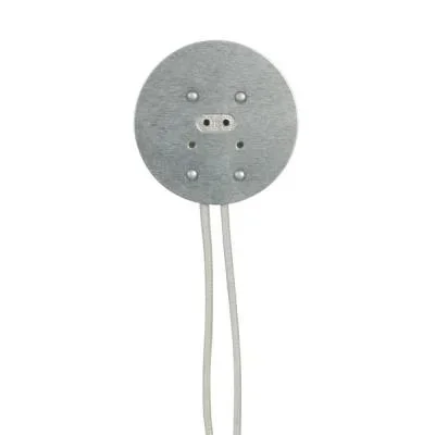 Socket2431989