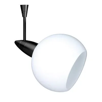 Spotlight2406475