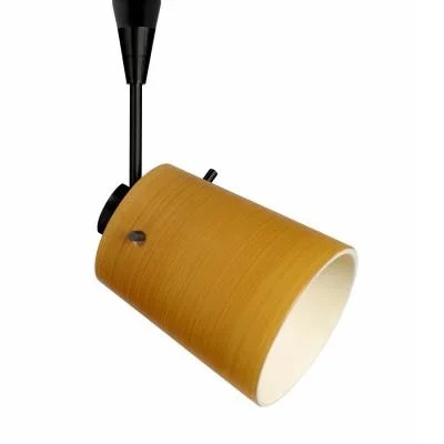 Spotlight8120995