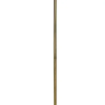 Stem4027058
