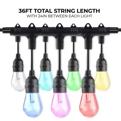 String Light2411417