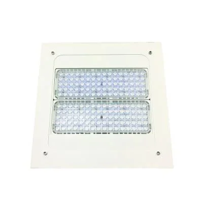 Surface Mounted Canopy Light Fixture2253506