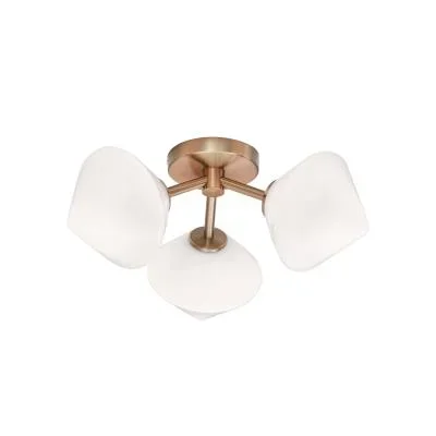 Three Light Ceiling Mount4489518