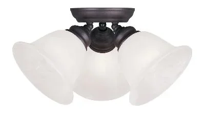 Three Light Ceiling Mount559577
