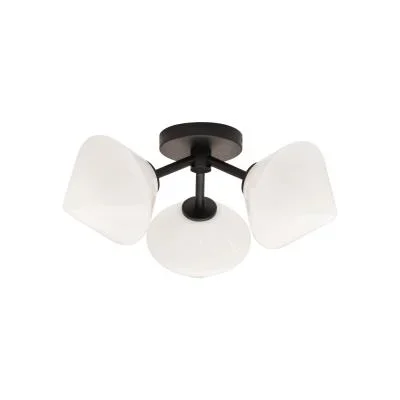 Three Light Ceiling Mount8813203