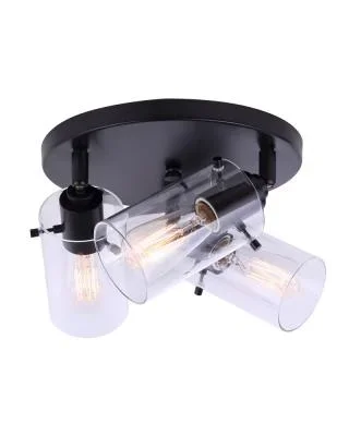 Three Light Ceiling/Wall Mount4676566