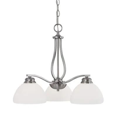 Three Light Chandelier4541661