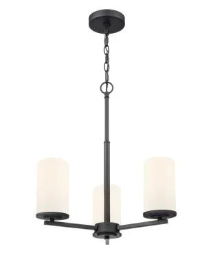 Three Light Chandelier4568471