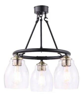 Three Light Chandelier6334449