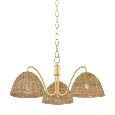 Three Light Chandelier8193113