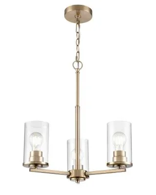 Three Light Chandelier9231743