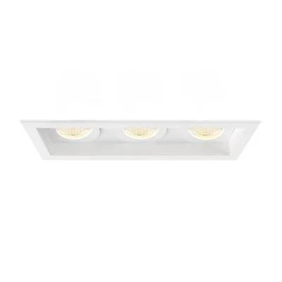 Three Light Downlight6394048