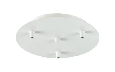 Three Light Multi Port Canopy4348618