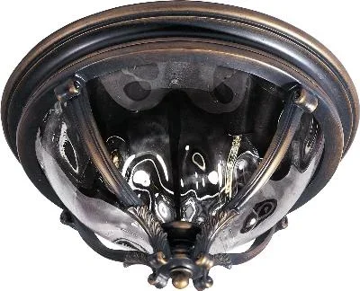 Three Light Outdoor Ceiling Mount709217