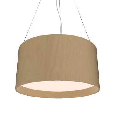 Three Light Pendant8587040