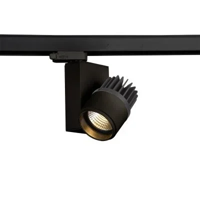 Track Head4259965