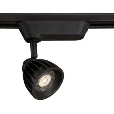 Track Head9635872