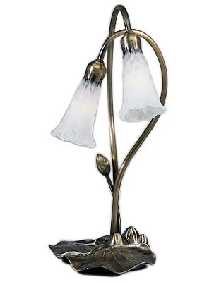 Two Light Accent Lamp684640