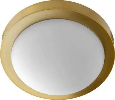 Two Light Ceiling Mount062068