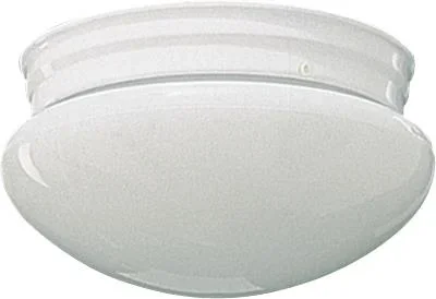 Two Light Ceiling Mount153463