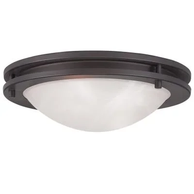 Two Light Ceiling Mount214382