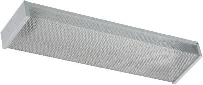 Two Light Ceiling Mount256700