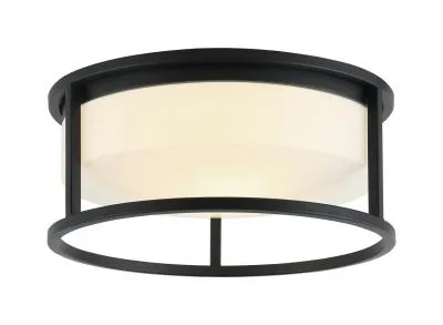 Two Light Ceiling Mount3759254