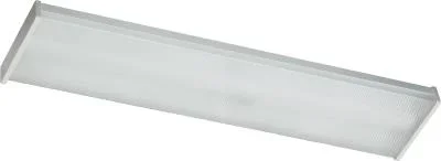 Two Light Ceiling Mount416934