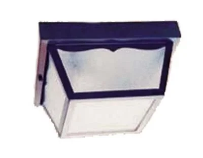 Two Light Ceiling Mount943702