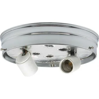 Two Light Ceiling Pan3158810