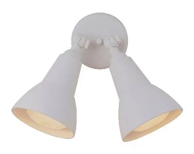 Two Light Directional Bullet200361