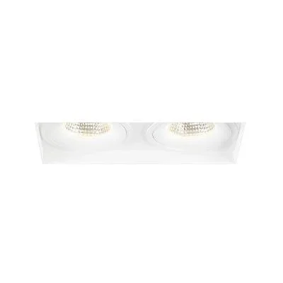 Two Light Downlight2100033