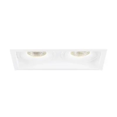 Two Light Downlight2488861