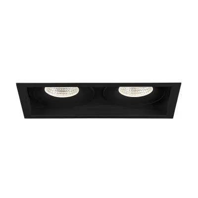 Two Light Downlight8355595