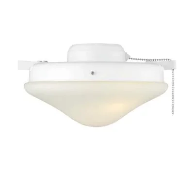 Two Light Fan Light Kit515451