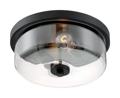 Two Light Flush Mount2161446