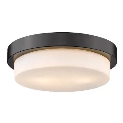 Two Light Flush Mount4052831