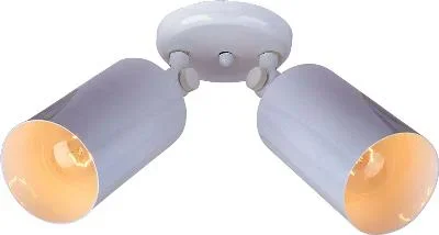 Two Light Flush Mount529203