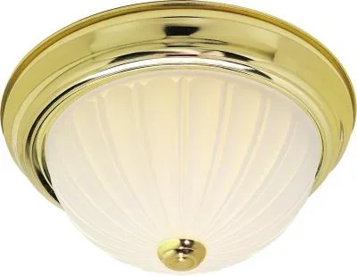 Two Light Flush Mount564513
