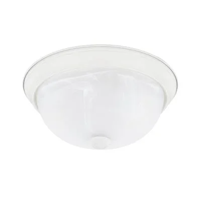 Two Light Flush Mount589836