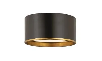 Two Light Flush Mount6634173