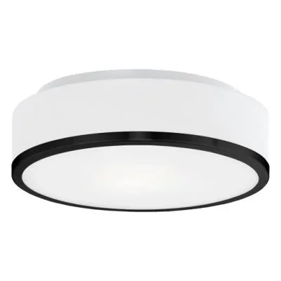 Two Light Flush Mount8829536