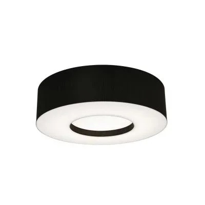 Two Light Flush Mount8981380